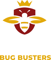 King Bug Busters